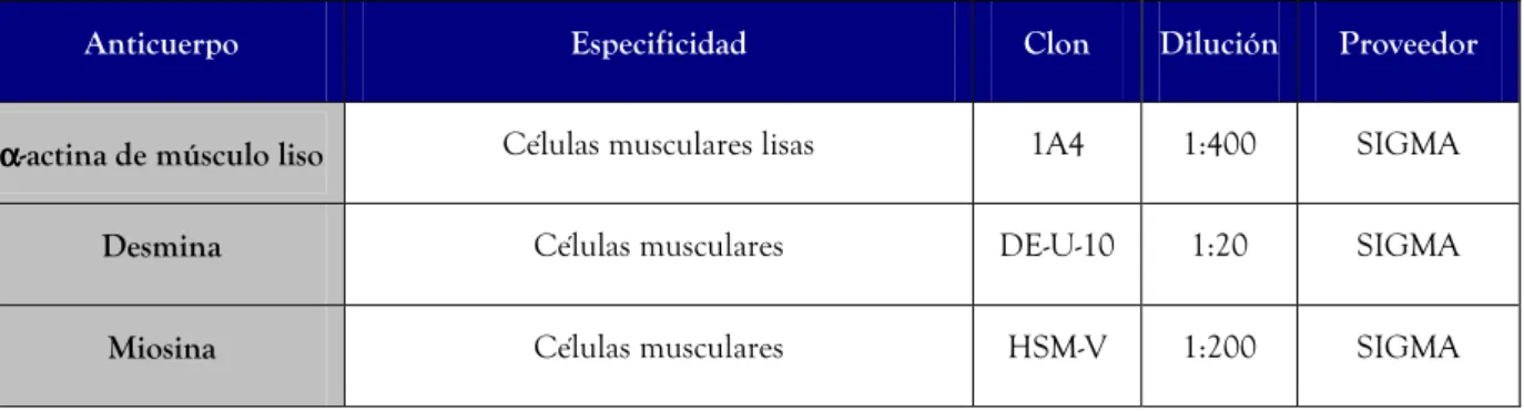 Tabla 1: Marcadores musculares. 
