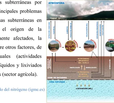 Ilustración 1 - Ciclo del nitrógeno (igme.es)