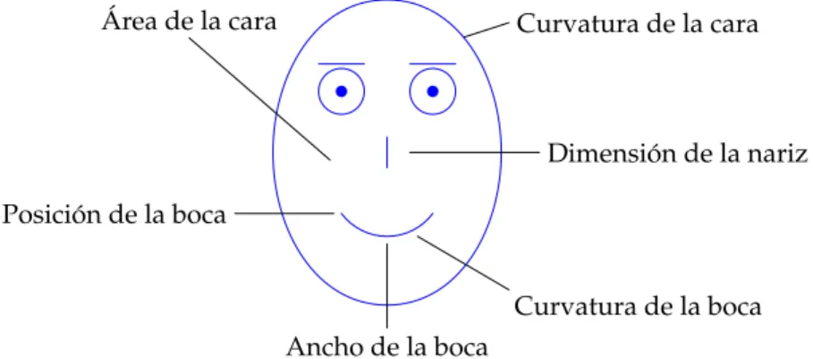 Figura 1.4: Algunos parámetros conﬁgurables en una cara de Chernoﬀ
