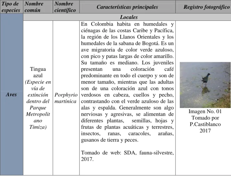 Tabla 6. Descripción fauna Parque Metropolitano Timiza. Elaborado por A. Barrios, P.  Castiblanco 2018  Tipo de  especies  Nombre común  Nombre 