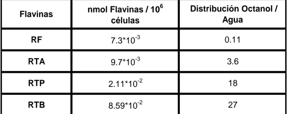Tabla  III-1:  Incorporación  de  diferentes  derivados  de  riboflavina  en  células  tumorales :  Nombre  de  las  flavinas  respecto  a  la  Figura  III-1