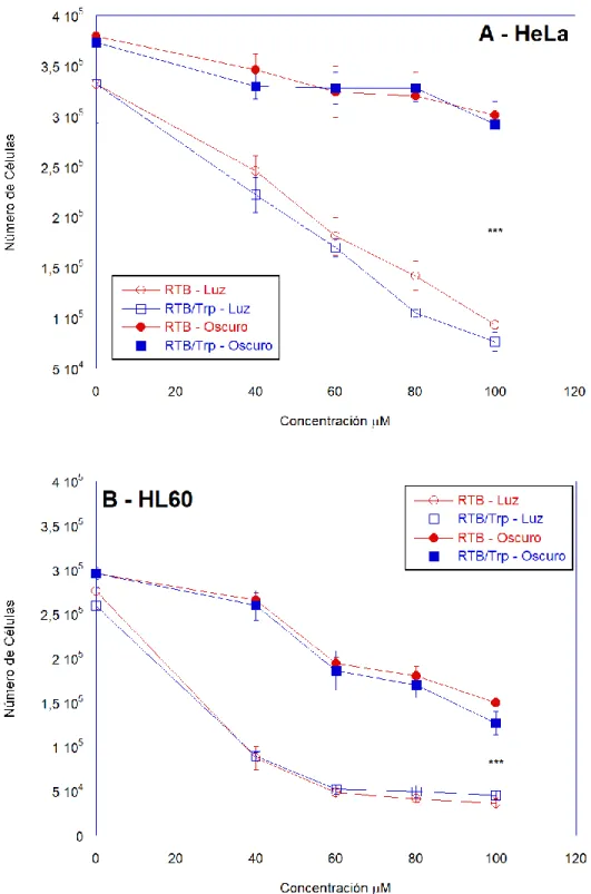 Figura  III-3:  Viabilidad  celular  de  células  tumorales  irradiadas  con  fotosensibilizador : Efecto de la concentración de RTB, con y sin Trp, en células HeLa (A)  y HL60 (B)
