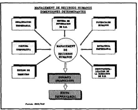 Figura 6: Componentes determinantes del management de los recursos humanos en la empresa