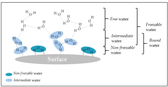 Figure 1-2. Types of water on surfaces with the denominations, their structure and  interactions on surfaces.
