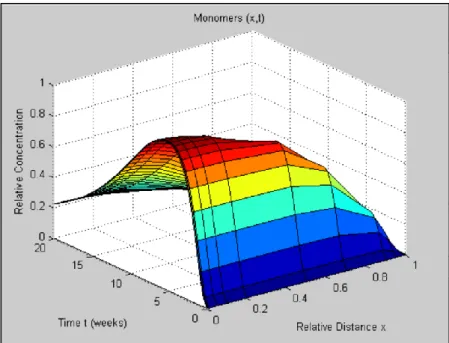 Figure 2-3. Three-dimensional surface plot of monomer relative concentration with  respect to time and relative distance
