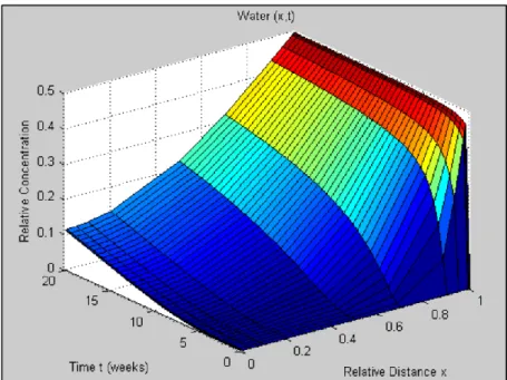 Figure 2-5. Three-dimensional surface plot of water relative concentration with respect  to time and relative distance