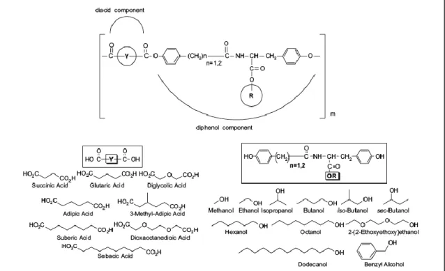 Figure 3-1. Structure of L-tyrosine derived polyarylates. Symbol Y represents diacids  (left) and symbol R represents tyrosine-derived diphenols (right)
