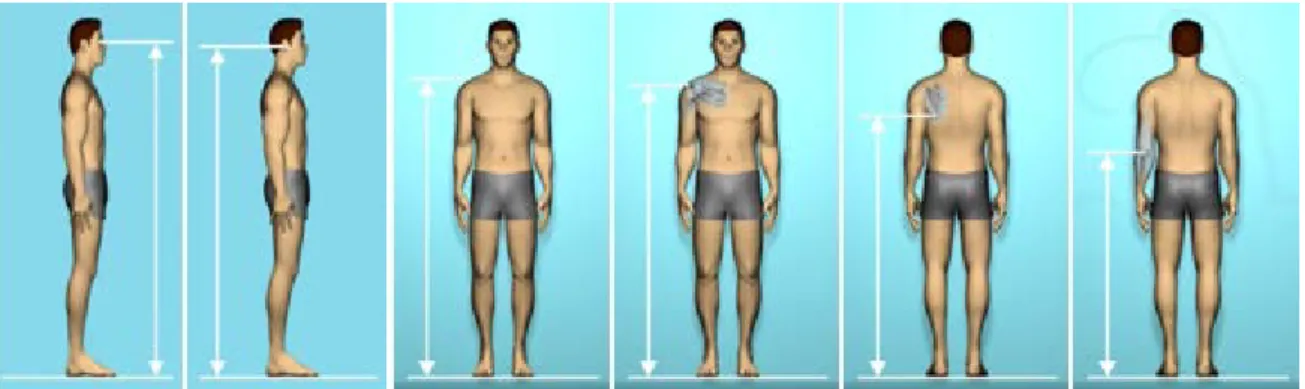 Ilustración 47. De Izquierda a derecha: Altura del ojo de pie (AOP); Altura del oído (AOI); Altura a la vertiente  humeral (AVH); Altura hasta el hombro (AHH); Altura hasta el omóplato (AHO); Altura del codo parado (ACP) 