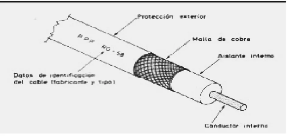 Fig: 1.3 Sección de cable coaxial(Touriz) 