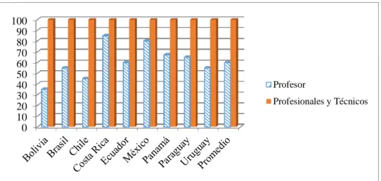 Gráfico N° 5 