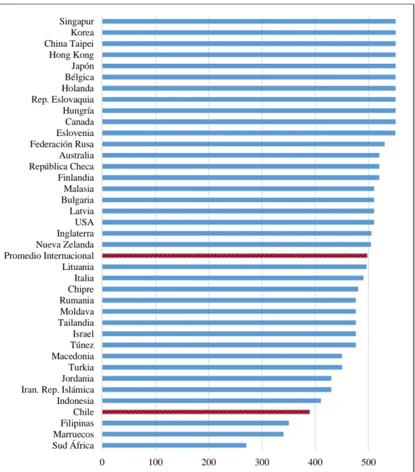 Gráfico N° 7 