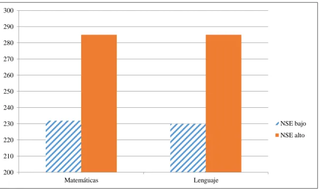 Gráfico N° 8 