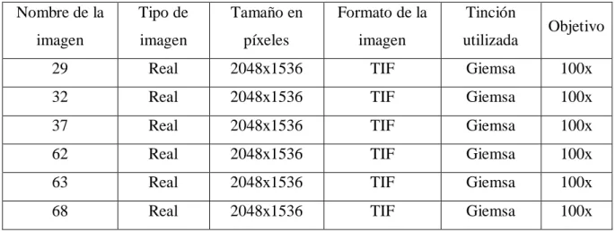 Tabla 2.1: Datos de las imágenes utilizadas. 