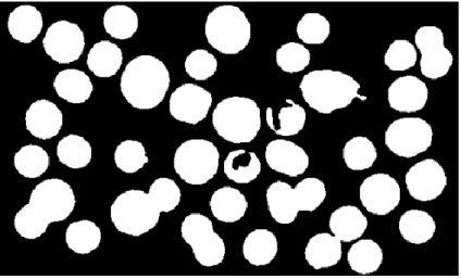 Fig. 7 Máscara binaria. 