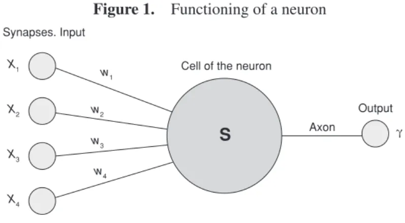 Figure 1.  Functioning of a neuron