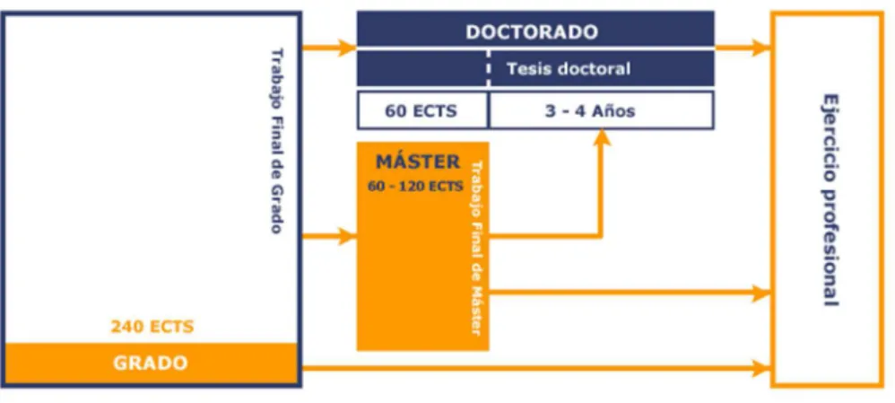 Figura 7. Estructura de las enseñanzas 