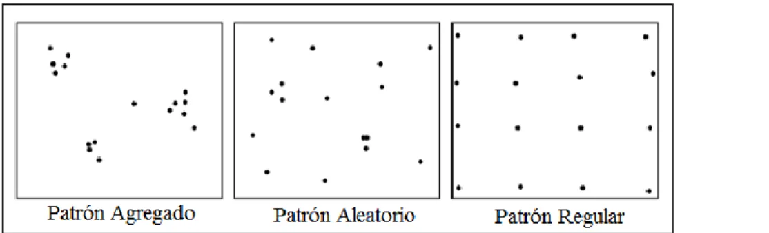 Figura 3-1: Tipos de Patrones. Fuente: Elaboración Propia 