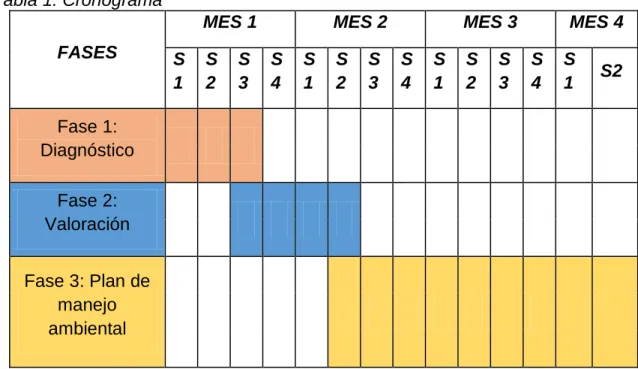 Tabla 1. Cronograma  FASES 