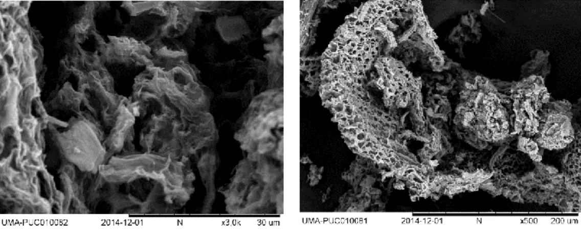 Figura  3.2: Imagen SEM cenizas de  turba x 500 