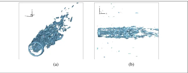 Figure 4.4. Plots of q iso-surfaces for the single turbine case. (a) three dimensional view; (b) superior view.