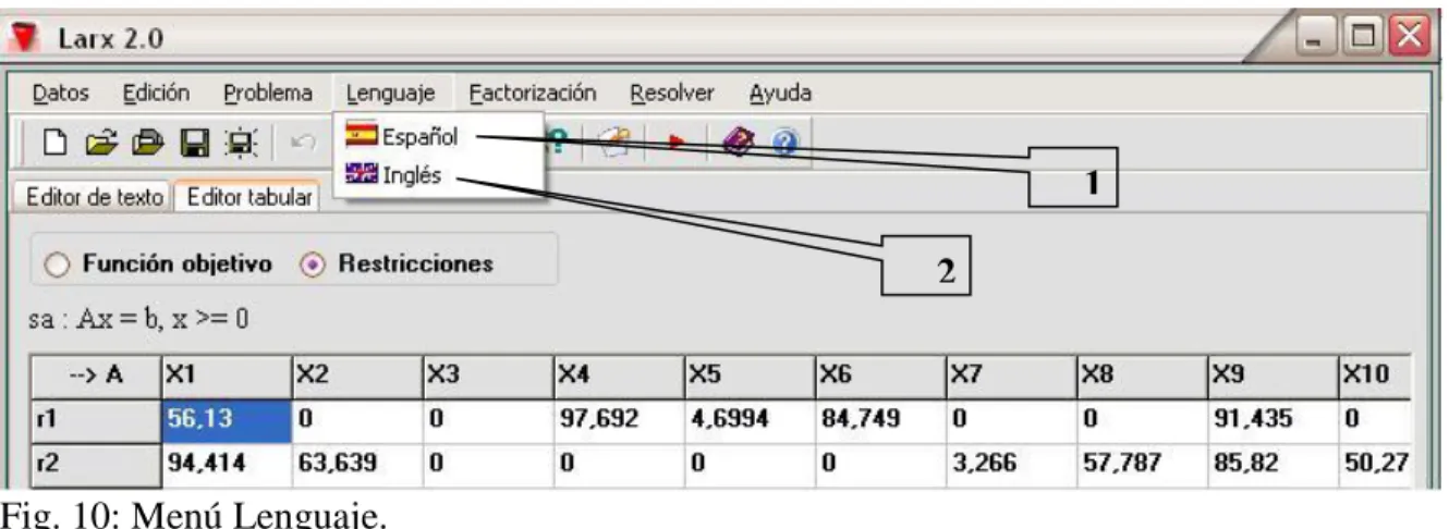 Fig. 10: Menú Lenguaje. 