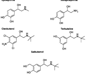 Figure 1. Structures of the chiral basic drugs studied in this work.