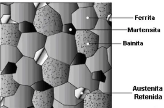 Figura 1. Representación esquemática de la microestructura de un acero TRIP [9]  Los ACEROS TRIP requieren un tratamiento isotérmico a temperaturas intercriticas  lo cual genera algunos bosques  bainita, también el contenido de silicio y carbono  generan  