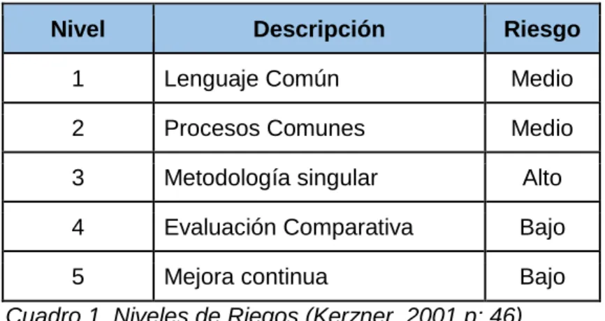 Cuadro 1. Niveles de Riegos (Kerzner, 2001 p: 46). 