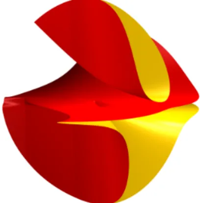 Figure 5: Surface in Example 4.8