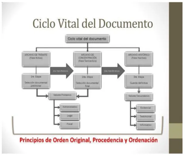 Ilustración 1. Ciclo de vida de la información ISO 30300 
