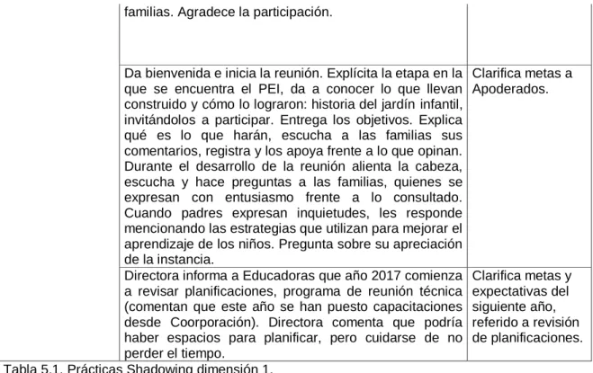 Tabla 5.1. Prácticas Shadowing dimensión 1. 