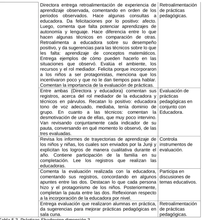 Tabla 5.3. Prácticas Shadowing dimensión 3. 