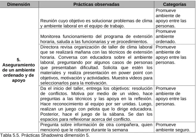 Tabla 5.5. Prácticas Shadowing dimensión 5. 