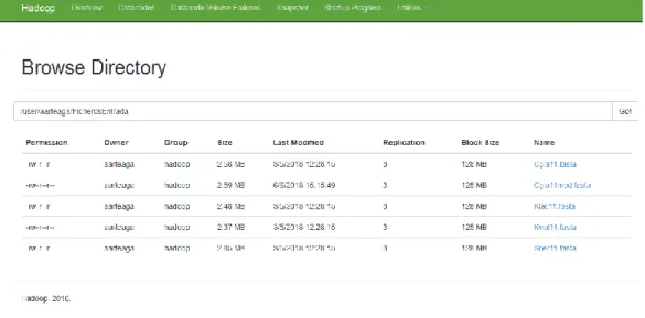 Figura 3. 2 Archivos fasta en la carpeta HDFS. 