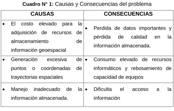 Cuadro N° 1:  Causas y Consecuencias del problema 