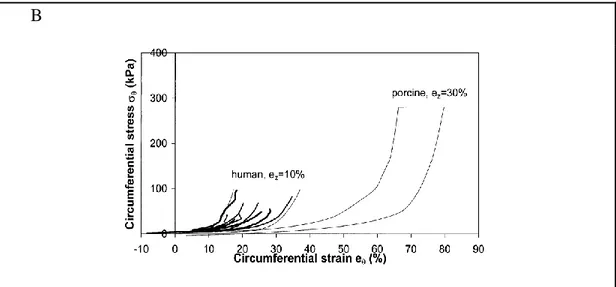 Figure  1-12:  Stress-strain  curves  of  human  and  porcine  coronary  arteries.  (A)  Axial direction