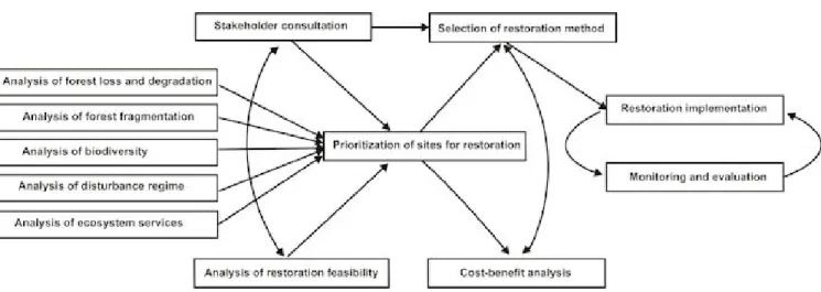 Fig. 1. The process of FLR, and its key elements.