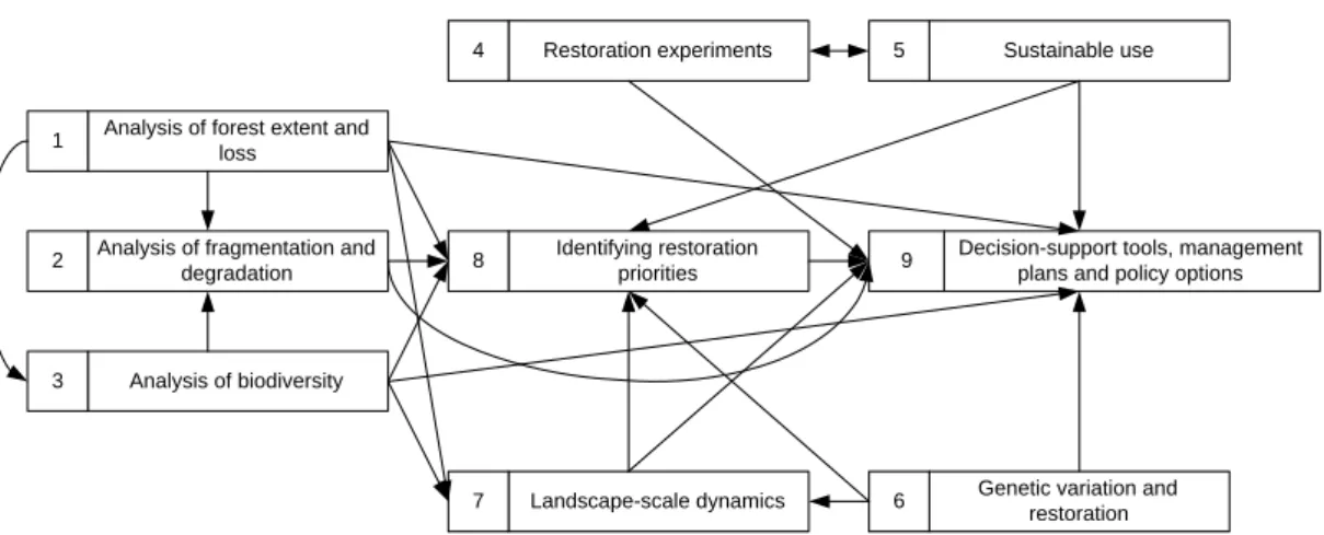 Figure A2.3. Inter-relationships of different elements (Work Packages, numbered 1-9) of the  ReForLan project