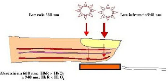 Figura 2. Medición oximetría de pulso (Extraída de [12])  