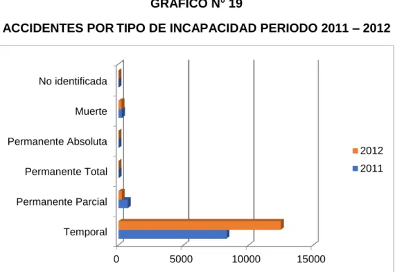 GRÁFICO N° 19   
