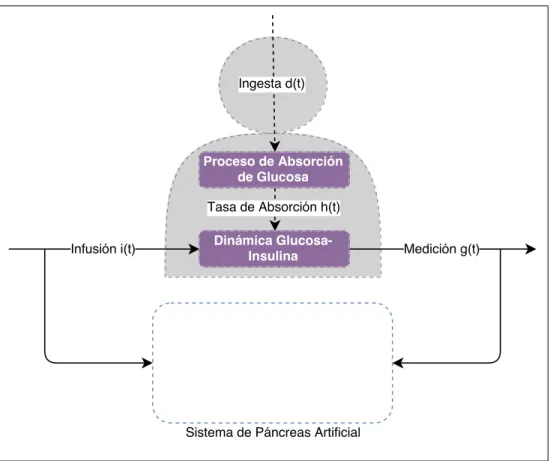 Figura 4.10: Lazo de p´ancreas artificial con modelos representativos de la din´amica interna del paciente