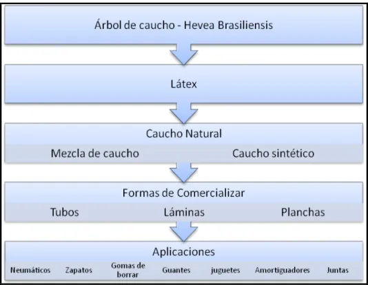 Fig. 1.1. Estructura de la cadena del caucho  