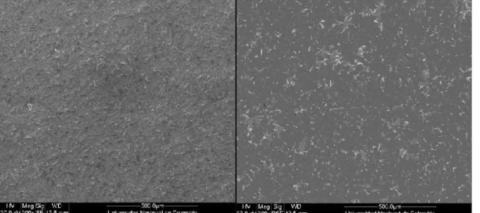 Figura  19:  Microestructura  por  SEM  a  200  aumentos    de  la  probeta  atacada  con HF al 5% por SE y BSE 