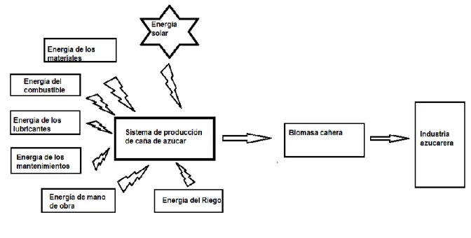 Figura 1 Diagrama del balance energético en la producción de caña de azúcar. 