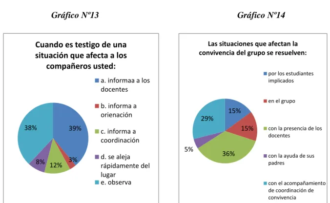 Gráfico Nº13                                                               Gráfico Nº14 
