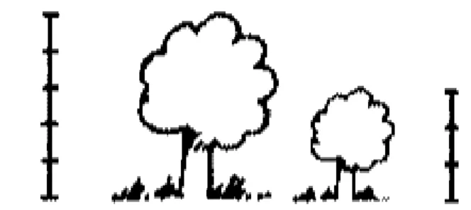 Figura 3. Relación fracción como razón entre dos árboles, Fruedenthal (1983) 