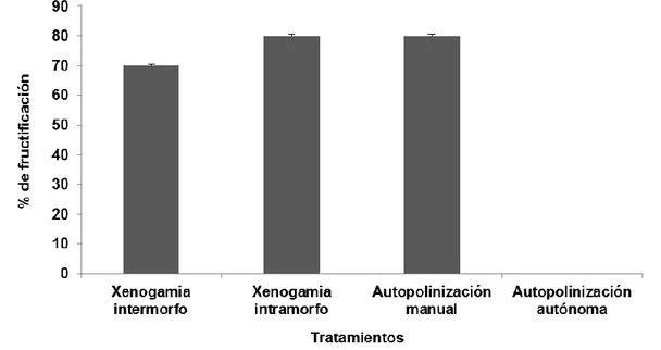 Figura 7. Porcentaje de fructificación de los experimentos de polinización manual en O