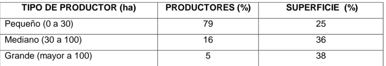 Tabla 2.  Estructura productiva del banano en Ecuador. 
