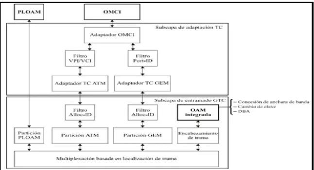 Figura 1.11    Bloques funcionales de los planos C/M 