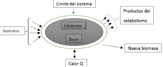 Fig.  3  Diagrama  de  una  célula  viva  y  su  intercambio con  el  medio  que  la  rodea